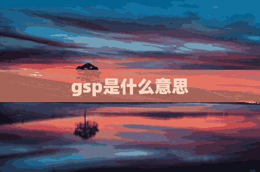 gsp是什么意思(gsp是什么意思医学)